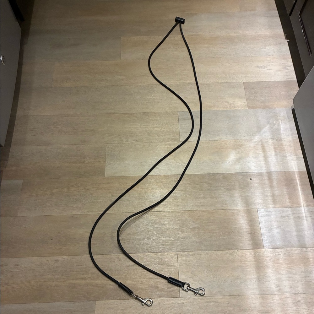 Draw reins